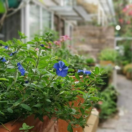 Shenzhen No'6 Garden Villa --French Window With Garden View,Close To Sea World &Shekou Ferry Port &K11 Ecoast &Subway Nearby ,Offer Western Food And Coffee &English Speaking With Tour Services Exterior photo
