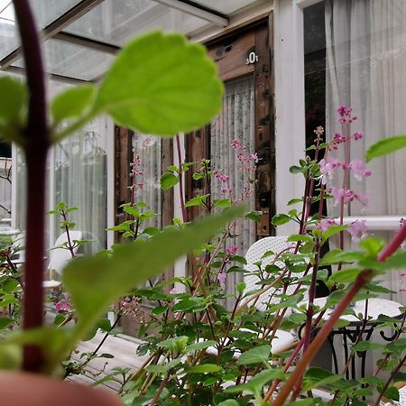 Shenzhen No'6 Garden Villa --French Window With Garden View,Close To Sea World &Shekou Ferry Port &K11 Ecoast &Subway Nearby ,Offer Western Food And Coffee &English Speaking With Tour Services Exterior photo