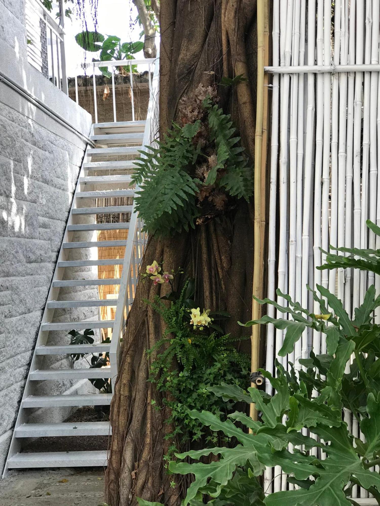 Shenzhen No'6 Garden Villa --French Window With Garden View,Close To Sea World &Shekou Ferry Port &K11 Ecoast &Subway Nearby ,Offer Western Food And Coffee &English Speaking With Tour Services Exterior photo
