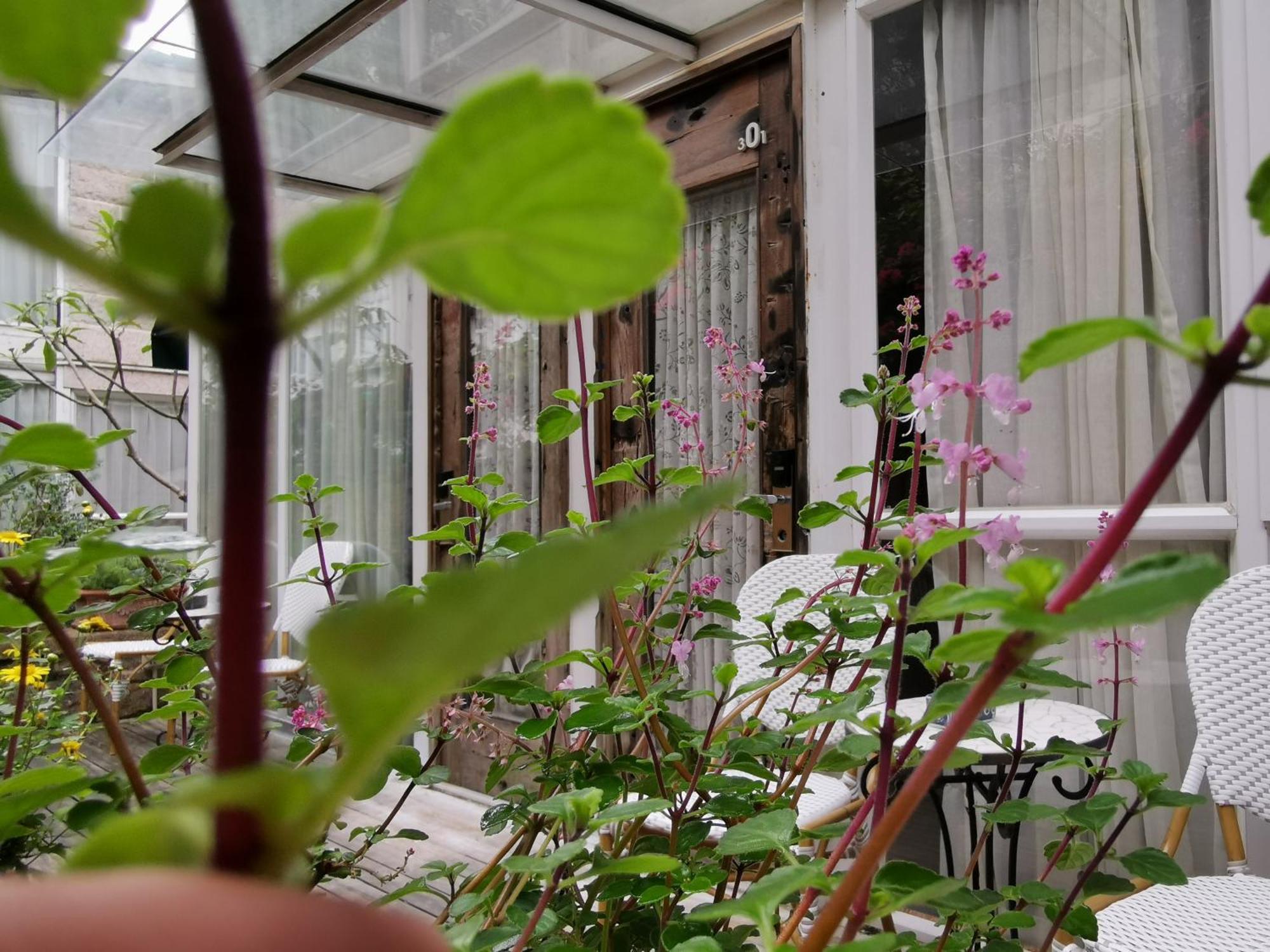 Shenzhen No'6 Garden Villa --French Window With Garden View,Close To Sea World &Shekou Ferry Port &K11 Ecoast &Subway Nearby ,Offer Western Food And Coffee &English Speaking With Tour Services Exterior photo