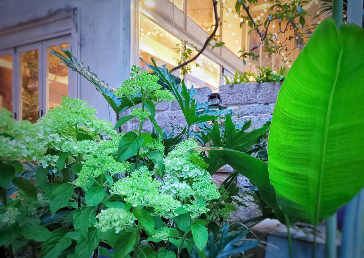 Shenzhen No'6 Garden Villa --French Window With Garden View,Close To Sea World &Shekou Ferry Port &K11 Ecoast &Subway Nearby ,Offer Western Food And Coffee &English Speaking With Tour Services Exterior photo